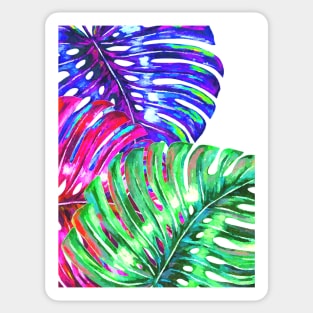 Colorful Monstera Sticker